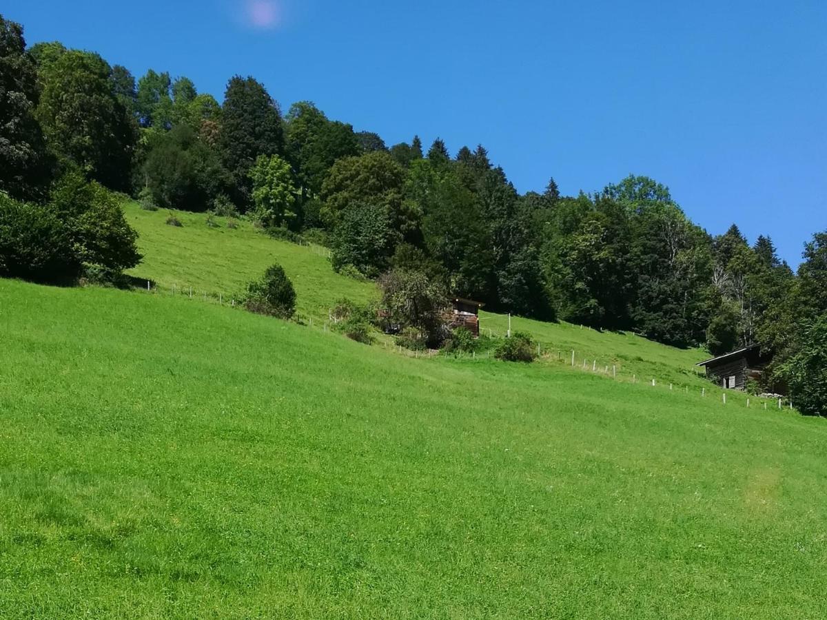 Appartement Maurer Niederau Luaran gambar