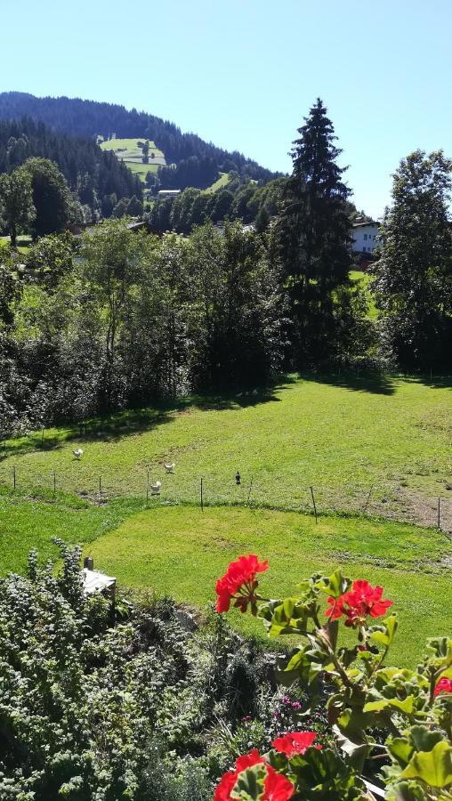 Appartement Maurer Niederau Luaran gambar